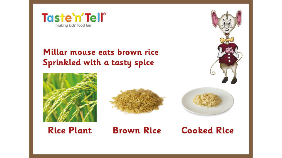 Taste'n'Tell - Millar Mouse Rice Card